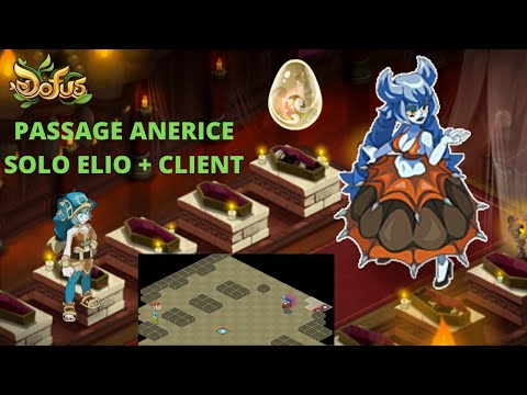 Serveur Jahash Passage Anerice SOLO ELIO + CLIENT ft. Numby [DOFUS]