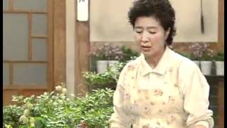 솔약국집 아들들 - My Too perfect Sons 20090704  #001