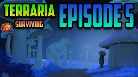 ●Terraria Let