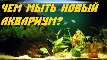 Как установить аквариум.  Чем мыть аквариум.  [#Аквариум для новичков]