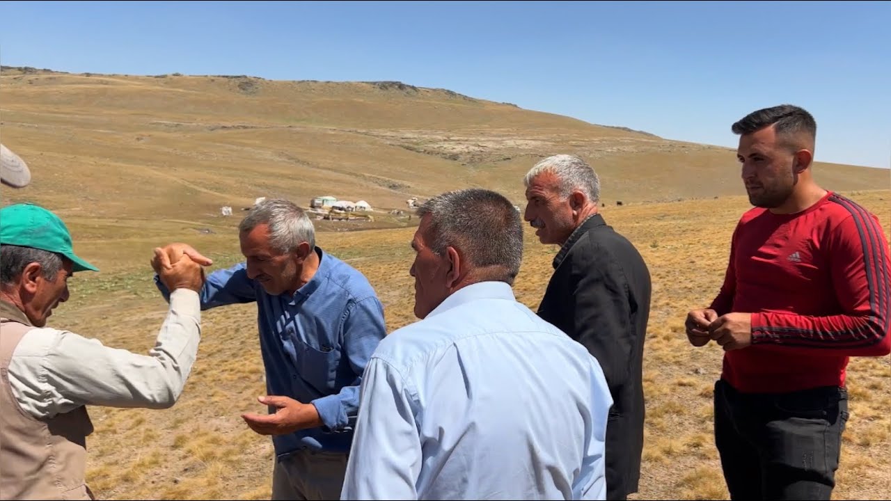 KUZULARIN BİR KISMI SATILDI—HAK KUZULARINI ALDIK