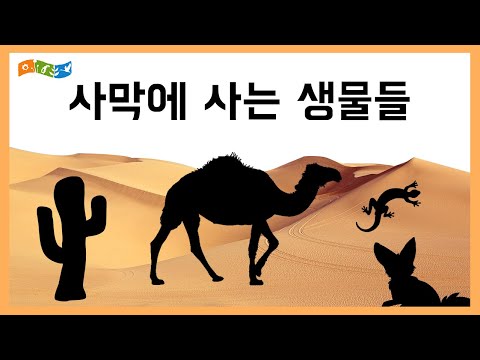 [교육]사막에서 살아남은 생물들의 비밀