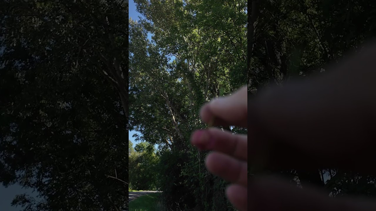 Хорошо, что я это не съел 😳