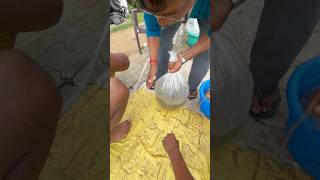 Oxygen packing fish seed #imcbusiness #aquaculture #fishing #fishfarming #fishpond #gardenpond