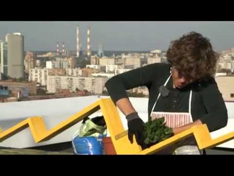 Телеканал "Усадьба" - Клумба на крыше