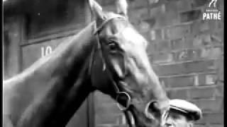 The Grand National 1929 - Gregalach