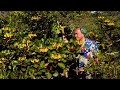 Field trip with patrick blanc in new caledonia  le grand sud