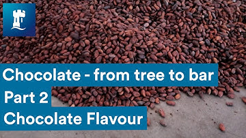 Chocolate from tree to bar - Chocolate Flavour