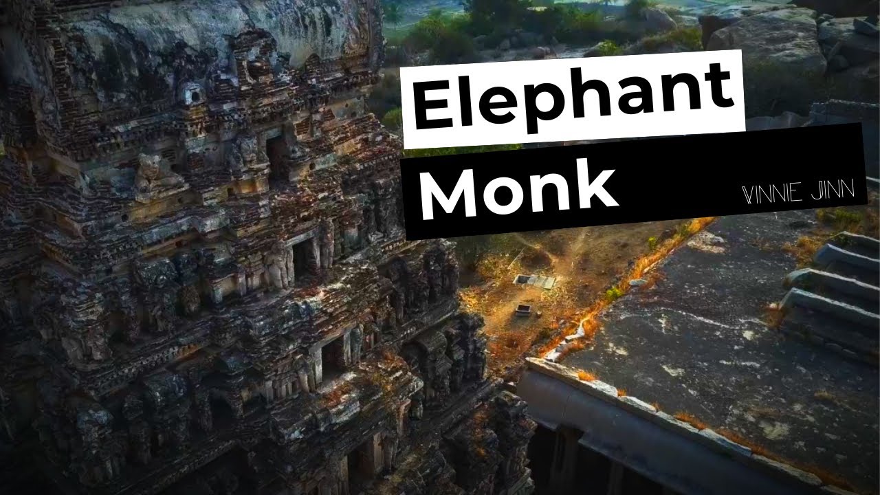 Vinnie Jinn - Elephant Monk