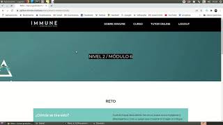 Reto Nivel 2 / Modulo 6 - Curso de Python - Immune Institute