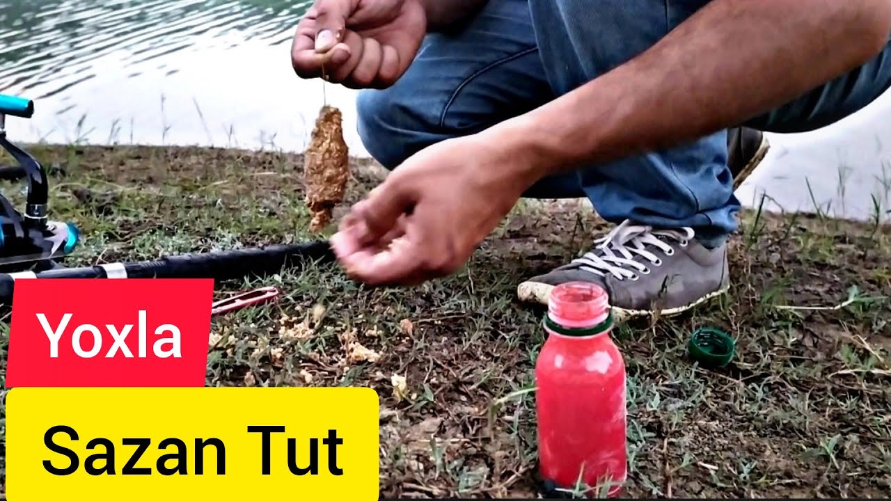 Sazan Hamuru /  100 % Nəticə / Sazan Yemi Cəlb Eden Yem/100% результат