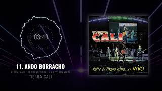 Video thumbnail of "Tierra Cali - Ando Borracho (En Vivo)"