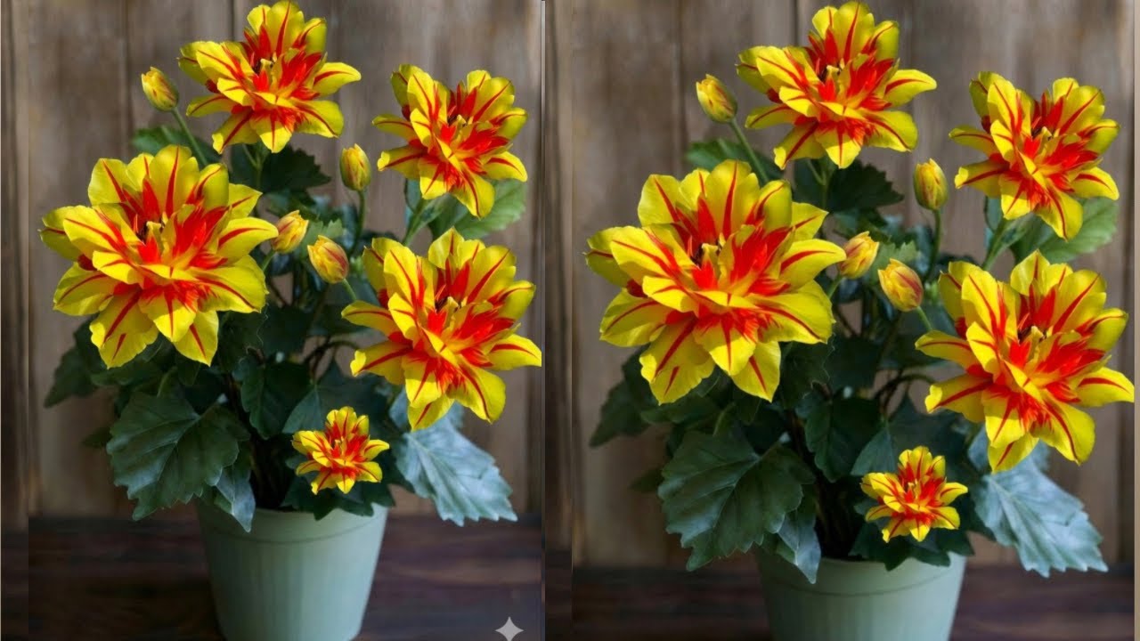 Как сделать красивый цветок из полиэтиленового пакета | Цветочные ремесла