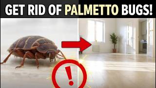 How to Get Rid of Palmetto Bugs Fast (Proven Home Methods) Profile