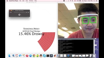 Real-time Drowsiness Detection System Demo