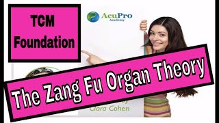 The Zang Fu Organ Theory