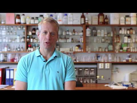 Faseoverganger - YouTube