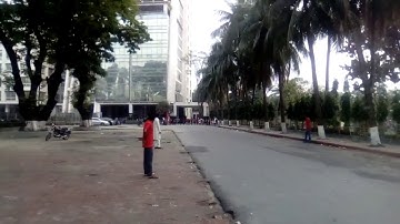 ⛹🏋🚴 Annual Sports  ⚽🏏🎻🎖🏅