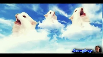 Preview 2 Astronomia Cat Effects^4 Inspired by (Preview 2 Effects)