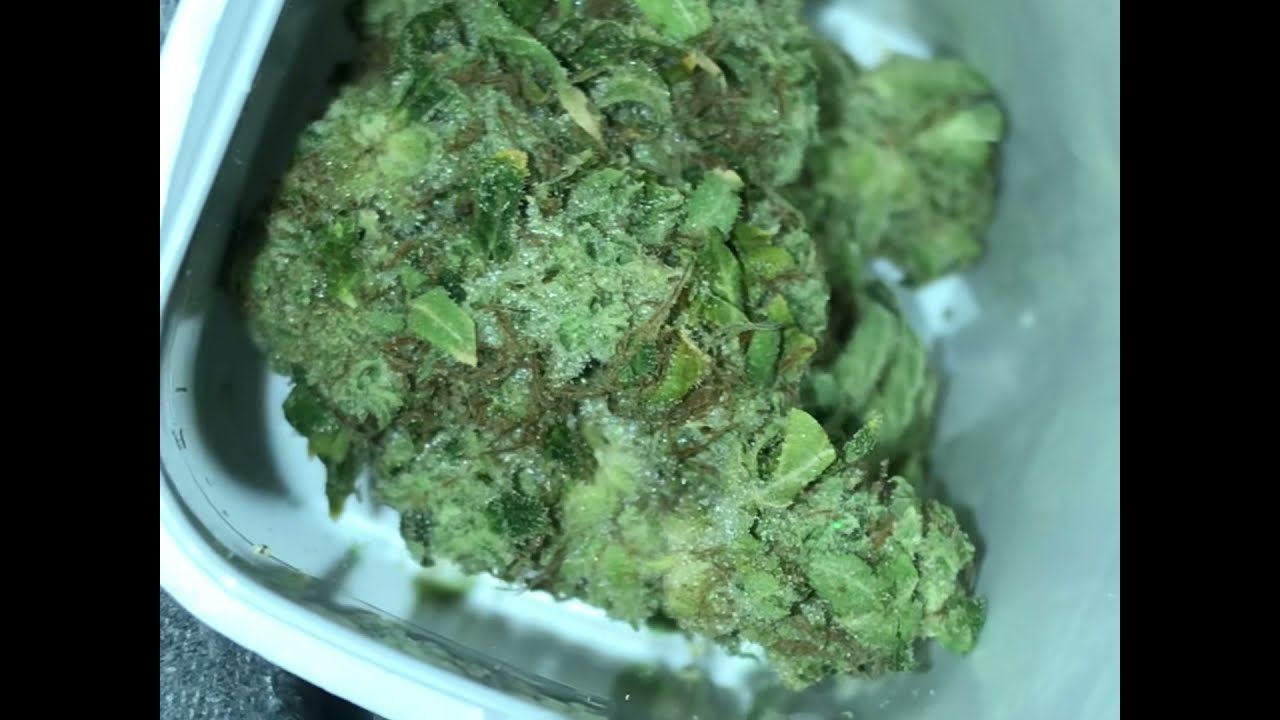 Larry Lovestein By Botanist~STRAIN REVIEW#18