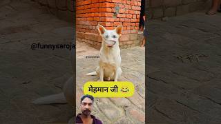 #123go #cbum #trending