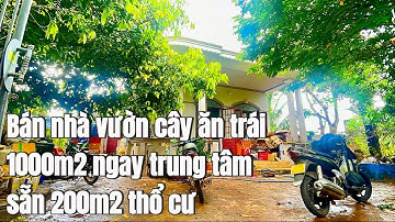 Chuyển đi nơi khác sống! Cô Hạnh bán căn nhà vườn sẵn thổ cư, ngay trung tâm vườn trái cây. Ở BRVT