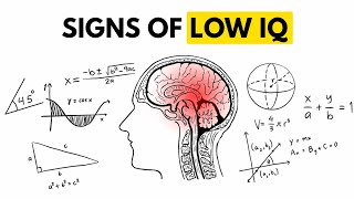 3 Daily Habits That Are Secretly Lowering Your IQ | Quanta Vibe