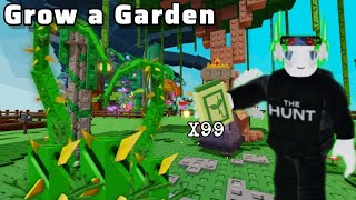 Trying to get the princess thorn seed after the beanstalk update