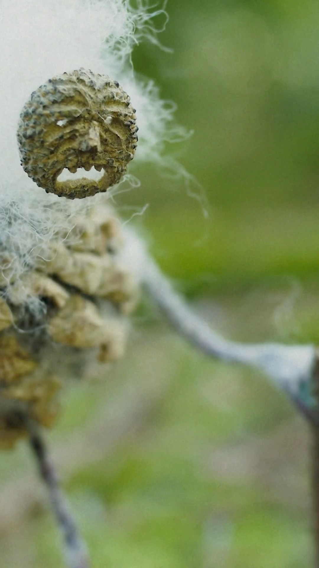 ? from A Film For The Future. Watch the full Moon Music companion film on YouTube now.
