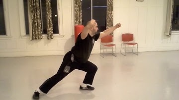 Tan Tui   Tan Tui Yoke Punch