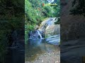 බොල්තුඹේ දිය ඇල්ල 🤩💫❤️🌿✨️🇱🇰 #fypシ #fypシ #fypシ #nature #fypviralシ