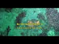 Aguas Rasas || Sia - Bird Set Free ( Tradução/Letra )