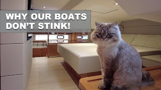 Why Privilege Catamarans Don't Stink! by Privilege Catamarans America 10,128 views 2 years ago 4 minutes, 53 seconds