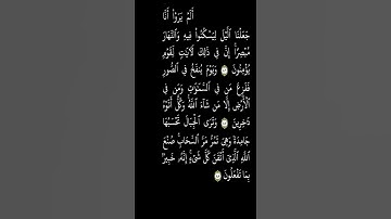 القران الكريم تلاوة هادئة من سورة النمل القارئ اسلام صبحي quran karem islam sobhy