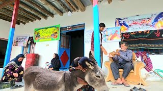Download Lagu Finding a lost donkey after a long time: A trip to the village and harvesting the fields MP3 Download Lagu Finding a lost donkey after a long time: A trip to the village and harvesting the fields MP3