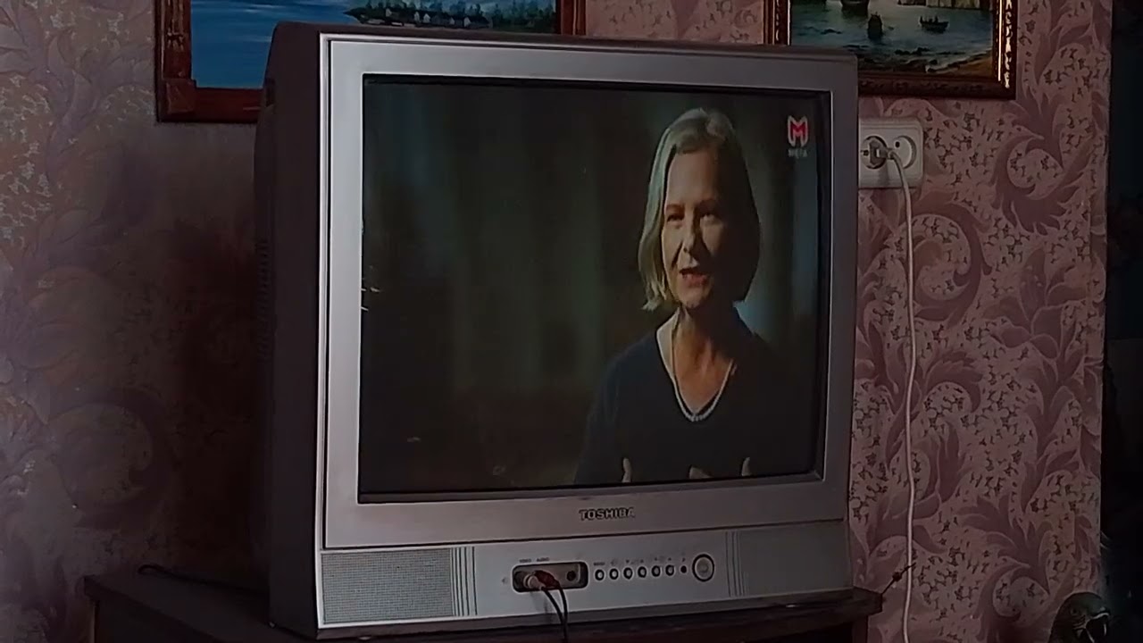 Мангры и алмазы по ящику