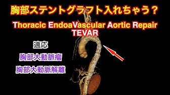 医龍 Youtube 医龍 Youtube