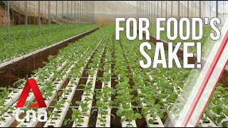 Investigating rising food prices: butter & kailan | For Food's Sake! | Full Episode
