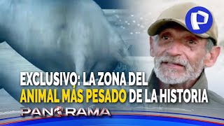 ¡Exclusivo! Animal más pesado de la historia: Panorama llega a desierto con descubridor de Perucetus