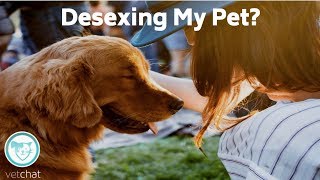 Desexing My Pet? by VetChat 25 views 5 years ago 2 minutes, 20 seconds