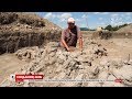 День археолога: як працюють шукачі слідів історії