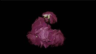 Screen Recording 1443 09 10 At 10 55 35 Am