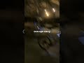 Chill night bike