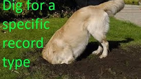 DIG - Query for a specific record type - #dig #nameserver #mx