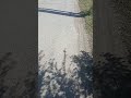 внимание вопрос про дзялбю