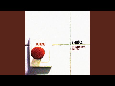 Ver Splinterfights en YouTube Ver Splinterfights en YouTube