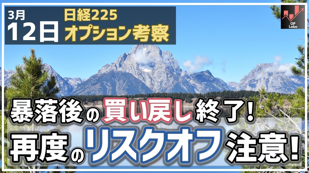 Nikkei 225 Options Review: March 12th: Buyback after the crash is