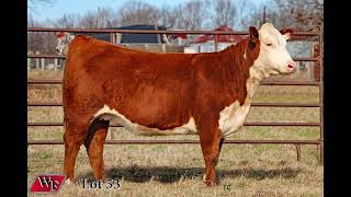 Genetic Source Lot 53
