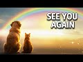 A Song From The Rainbow Bridge Pet Loss Song