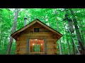 Too Much Rain! | Wood Cabin Foundation, Leather Tool Sheath, Off grid Greenhouse, Bears